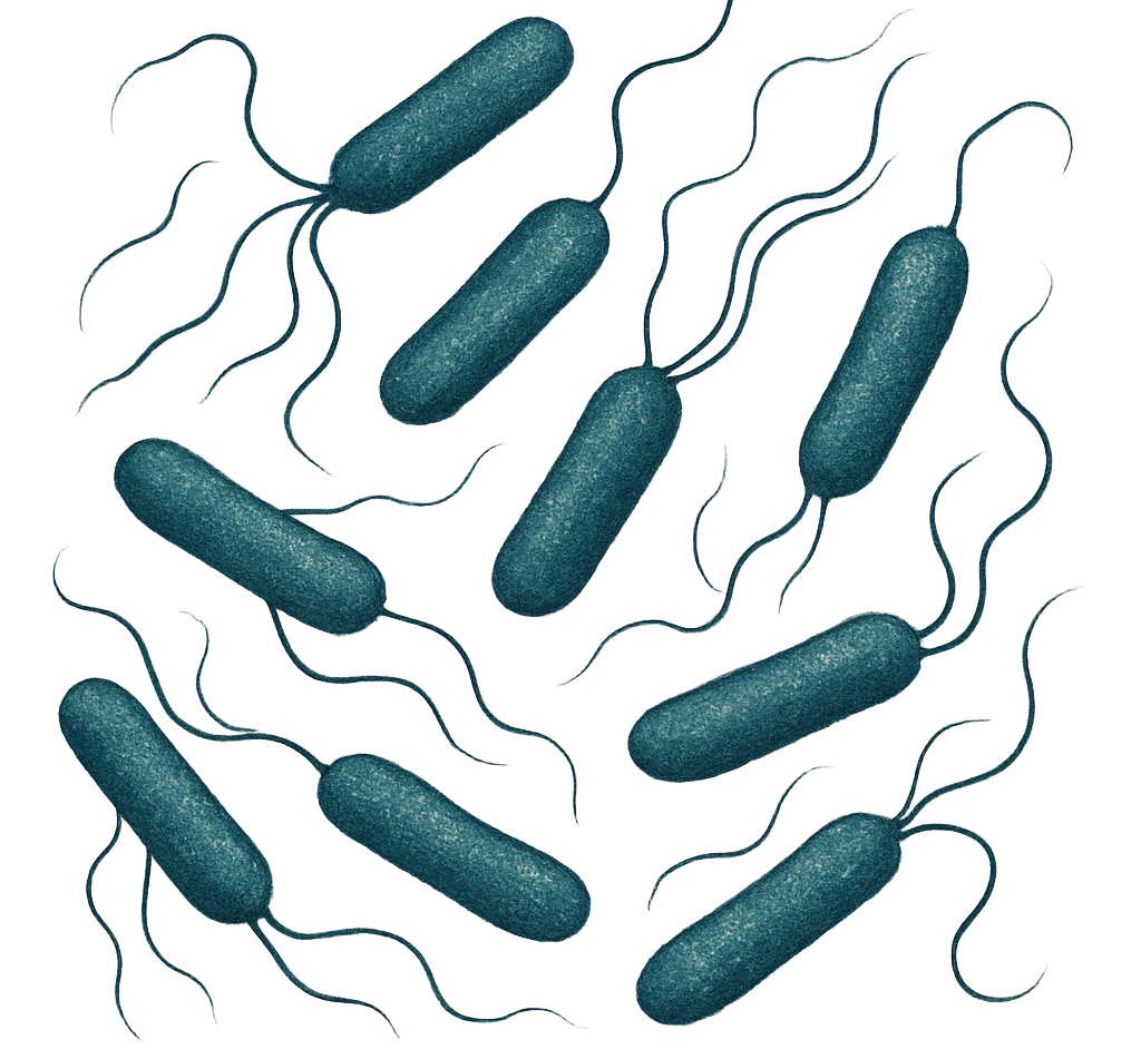 AIM -Super Growth w/o Trace Element