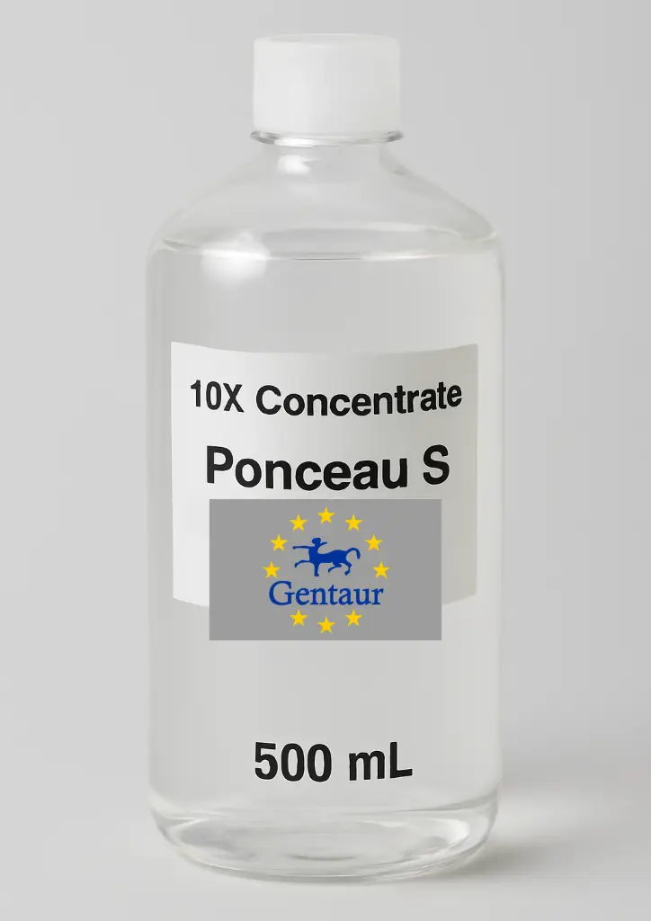 10X Concentrat Ponceau S Protein Färgninglösning 