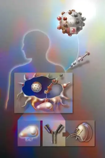 Immuno-Oncology Unlocked: From Mechanisms to Modern Therapies
